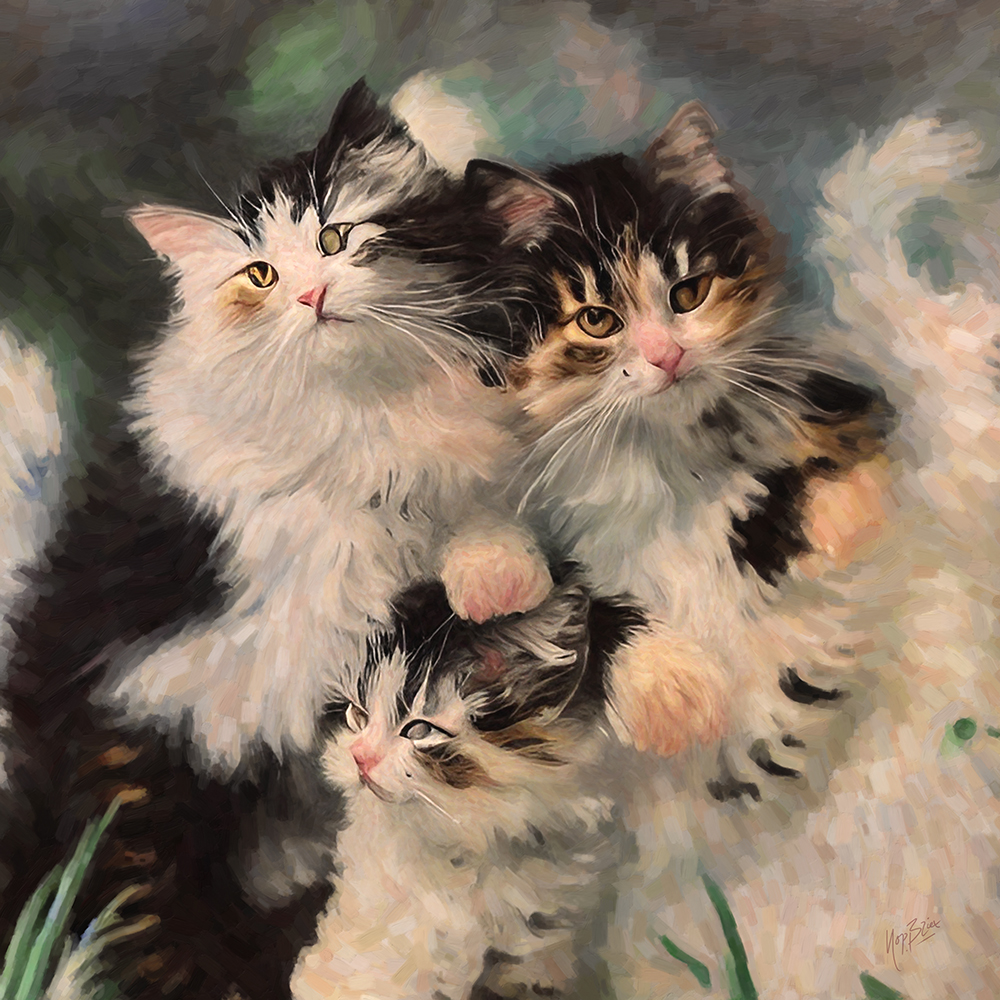Cat kittins showing off 60x60cm digioil Nop Briex LR