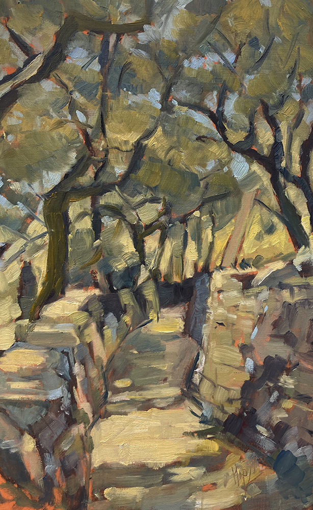 Footpath olive grove