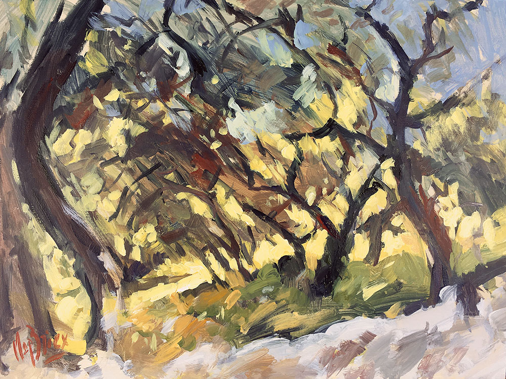 Sun light in the olive grove