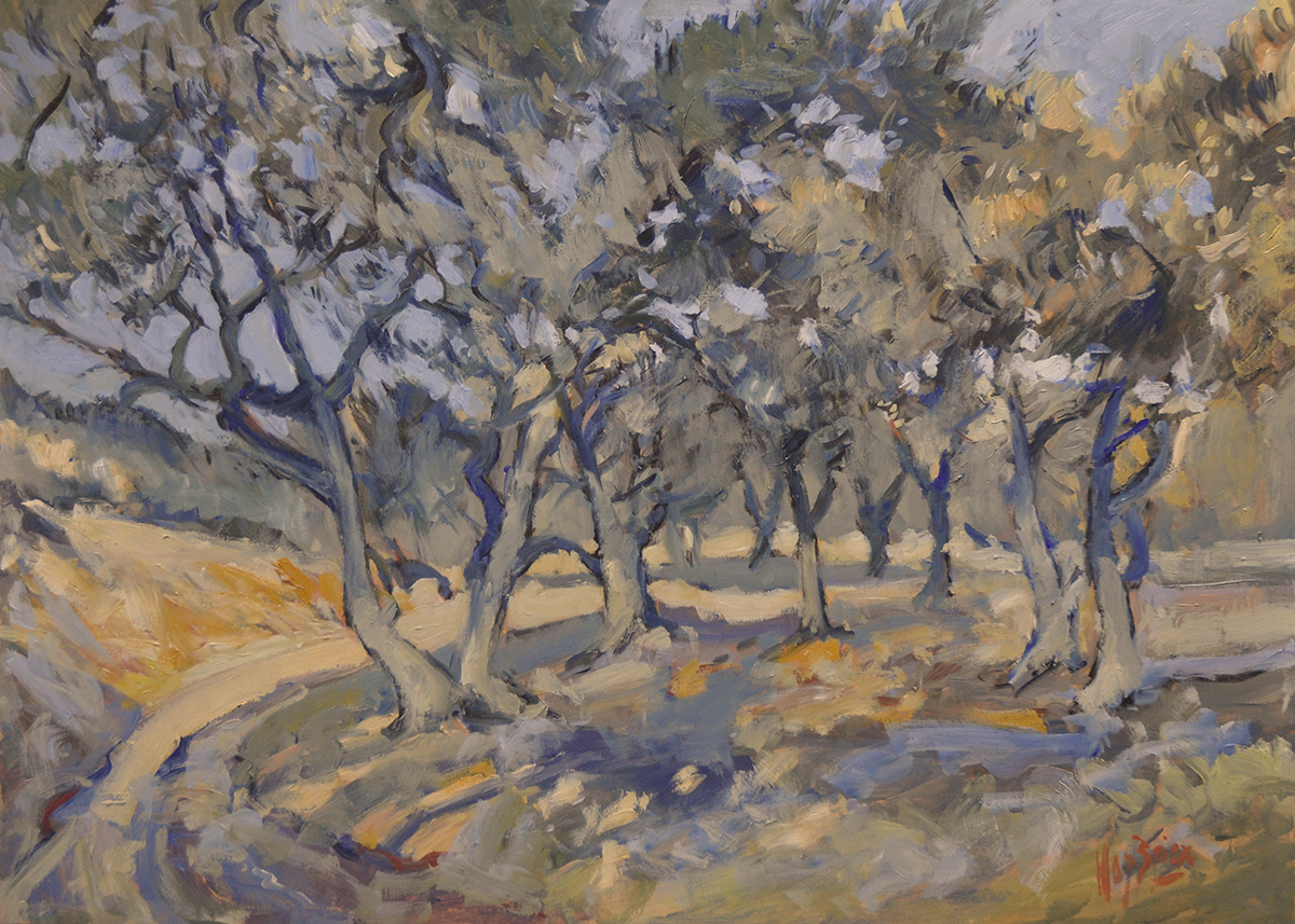 Olive grove Paxos 2