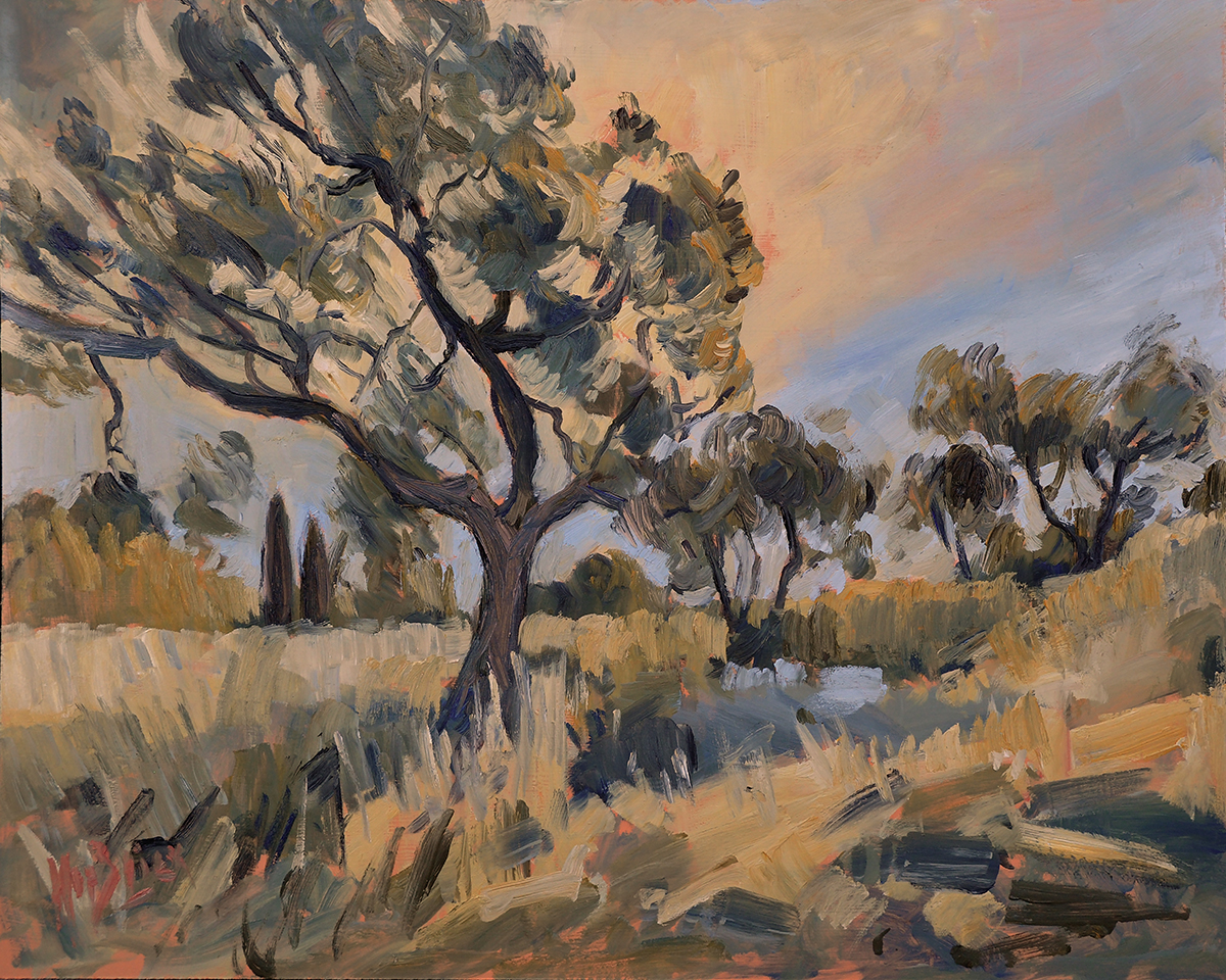 Olive grove near Loggos' windmill