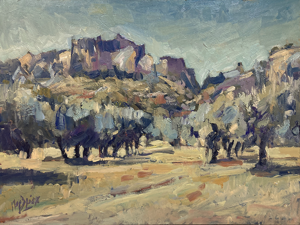 Olive trees at Alpilles, Provence