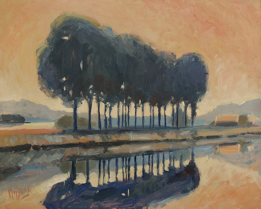 A row of trees along the canal