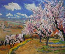 Blossoming cherry trees