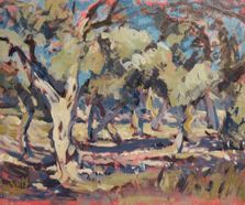 Olive grove Paxos