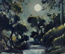 Moon light in the olive grove