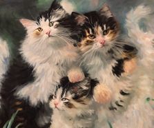 Cat kittins showing off 60x60cm digioil Nop Briex LR