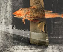 De vis de zeehond en de reiger 50x40cm LR collage