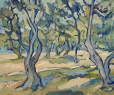 Olive grove, Paxos