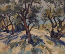 Olive grove 2, West Paxos