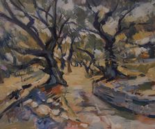 Olive grove 1, West Paxos