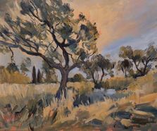 Olive grove near Loggos' windmill