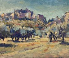 Olive trees at Alpilles, Provence
