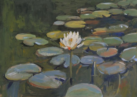 Water lilies V by Nop Briex